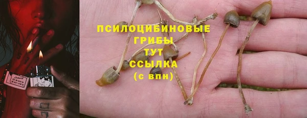 дурь Алексин