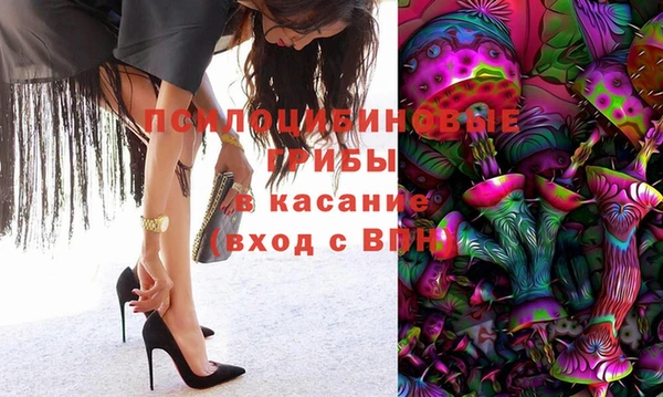 дурь Алексин