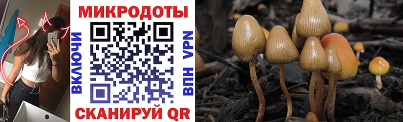 Галлюциногенные грибы Cubensis купить наркотики сайты Учалы